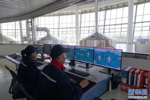 拉萨经开区 科技驱动高原特色产业蓬勃发展