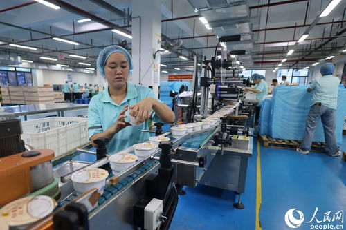 感受银城强劲脉动 解码同安新质生产力——媒体采风团探访厦门同安技术开发新图景